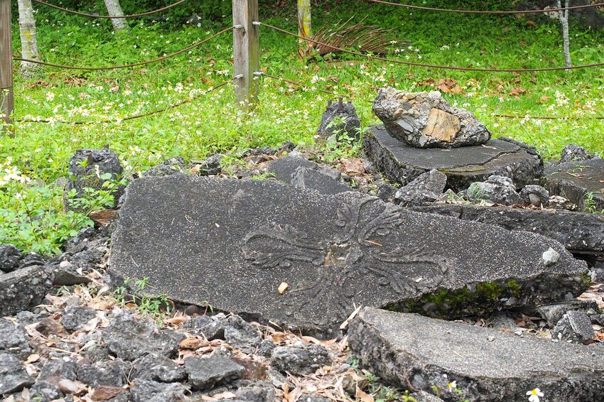 【花蓮兩天一夜行程推薦】花東縱谷路線-森林療育X走入黑熊國