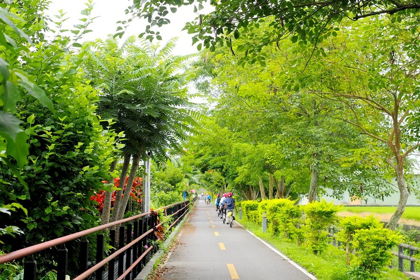 【花蓮兩天一夜行程推薦】花東縱谷路線-森林療育X走入黑熊國