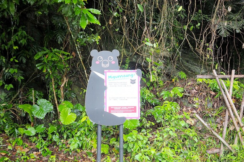 【花蓮兩天一夜行程推薦】花東縱谷路線-森林療育X走入黑熊國