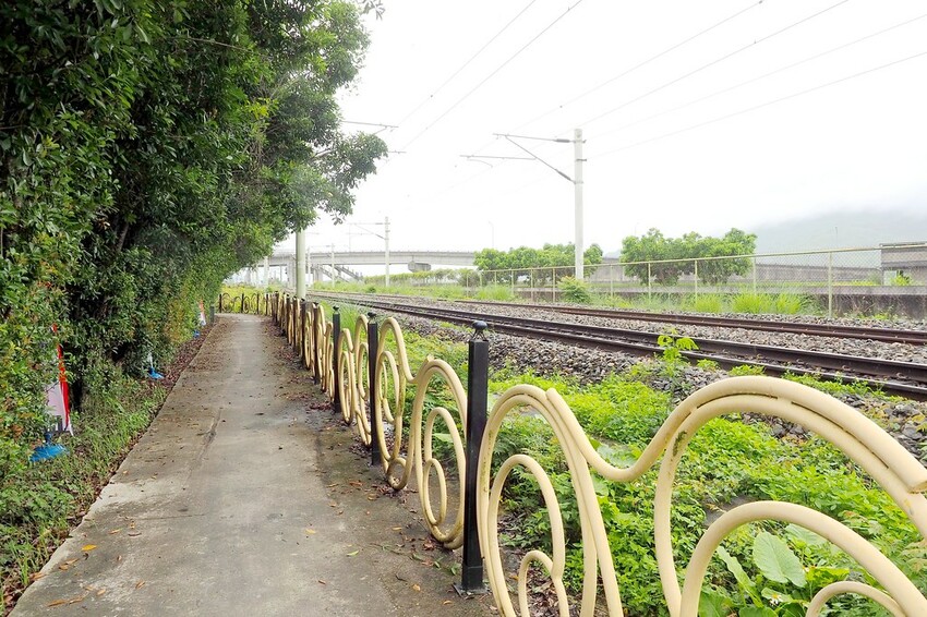 【花蓮兩天一夜行程推薦】花東縱谷路線-森林療育X走入黑熊國