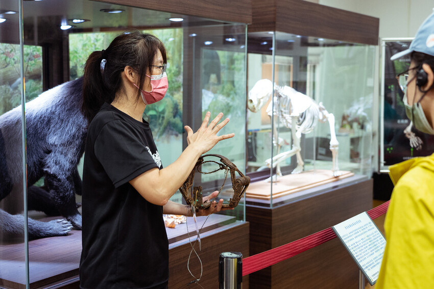 【花蓮兩天一夜行程推薦】花東縱谷路線-森林療育X走入黑熊國