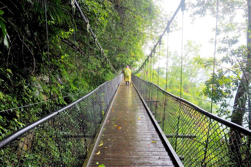 【花蓮兩天一夜行程推薦】花東縱谷路線-森林療育X走入黑熊國