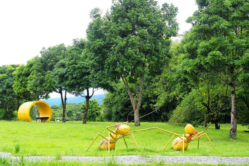 【花蓮兩天一夜行程推薦】花東縱谷路線-森林療育X走入黑熊國