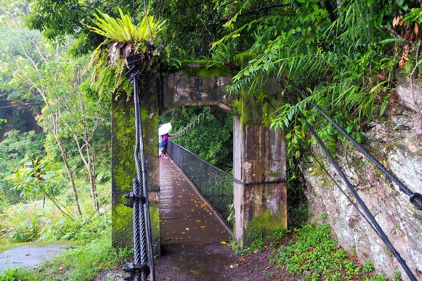【花蓮兩天一夜行程推薦】花東縱谷路線-森林療育X走入黑熊國