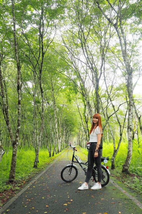 【花蓮兩天一夜行程推薦】花東縱谷路線-森林療育X走入黑熊國