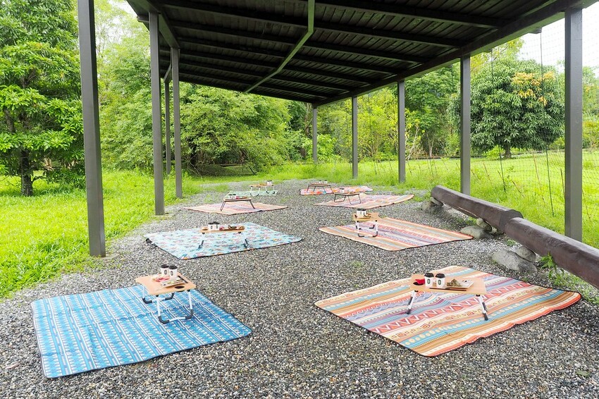 【花蓮兩天一夜行程推薦】花東縱谷路線-森林療育X走入黑熊國