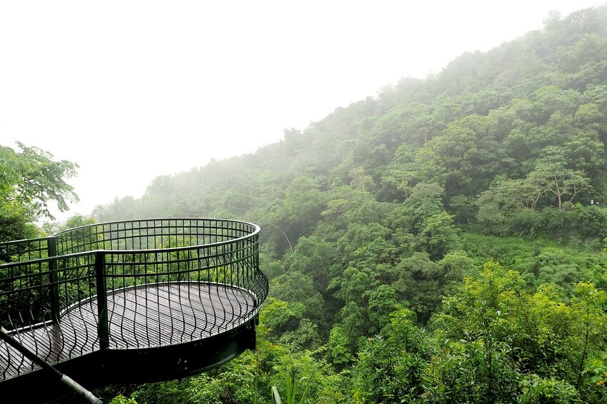 【花蓮兩天一夜行程推薦】花東縱谷路線-森林療育X走入黑熊國