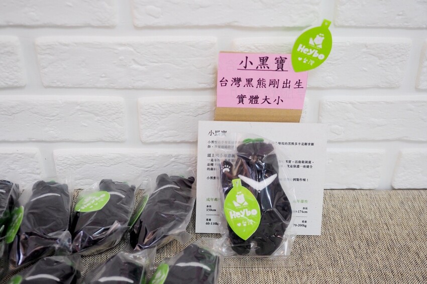 【花蓮兩天一夜行程推薦】花東縱谷路線-森林療育X走入黑熊國