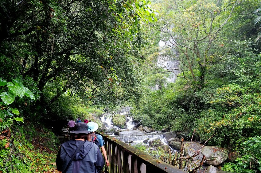 【花蓮兩天一夜行程推薦】花東縱谷路線-森林療育X走入黑熊國
