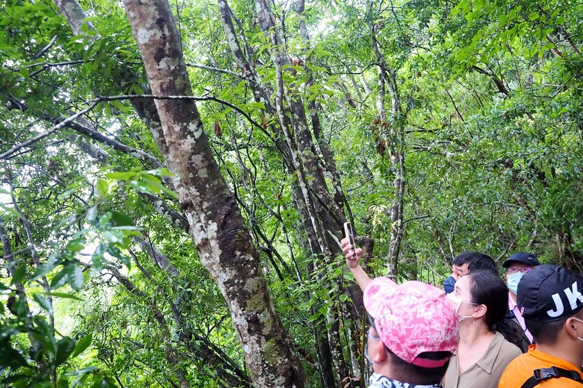 【花蓮兩天一夜行程推薦】花東縱谷路線-森林療育X走入黑熊國