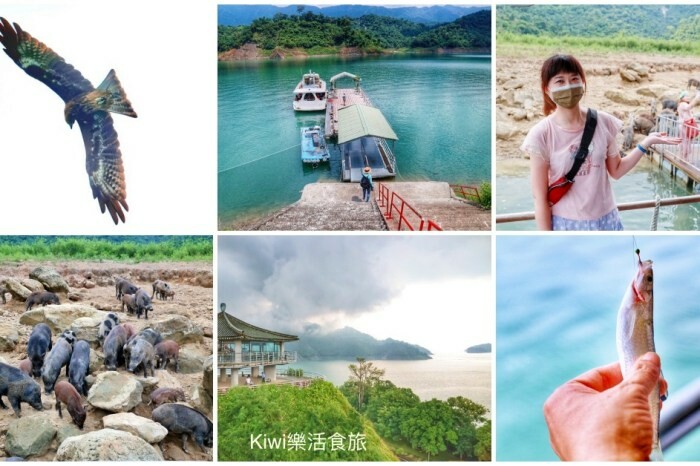 暑假強推2022夏令活動！彰化景點彰化縣自然生態教育中心，擁抱海洋‧與海對話特展～親子闖關.DIY藝術創作，