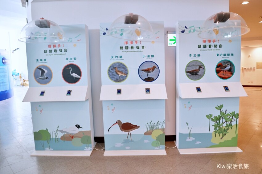 彰化伸港景點｜彰化縣自然生態教育中心，唯美白色海豚屋純白建築～慶安水道網美打卡熱點