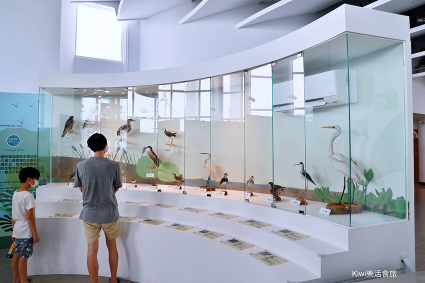 彰化伸港景點｜彰化縣自然生態教育中心，唯美白色海豚屋純白建築～慶安水道網美打卡熱點