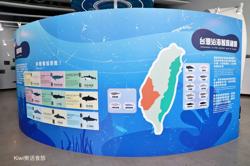 暑假強推2022夏令活動！彰化景點彰化縣自然生態教育中心，擁抱海洋‧與海對話特展～親子闖關.DIY藝術創作，