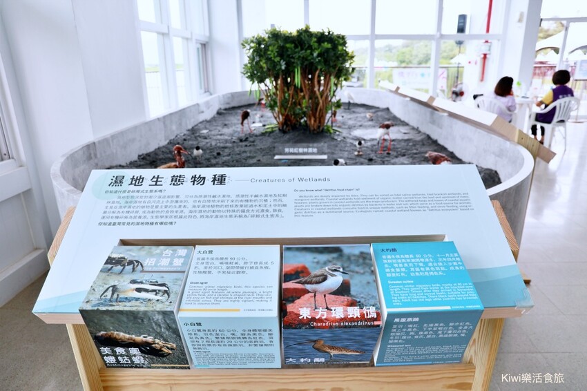 彰化伸港景點｜彰化縣自然生態教育中心，唯美白色海豚屋純白建築～慶安水道網美打卡熱點