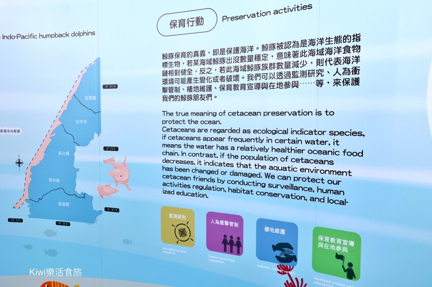 暑假強推2022夏令活動！彰化景點彰化縣自然生態教育中心，擁抱海洋‧與海對話特展～親子闖關.DIY藝術創作，