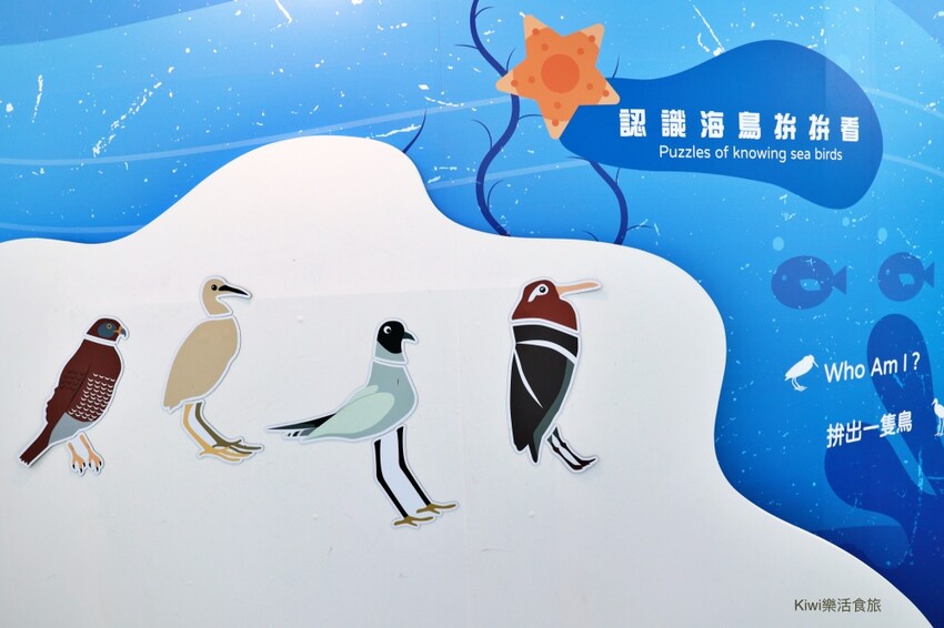 彰化伸港景點｜彰化縣自然生態教育中心，唯美白色海豚屋純白建築～慶安水道網美打卡熱點