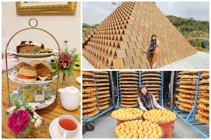 彰化伸港景點｜彰化縣自然生態教育中心，唯美白色海豚屋純白建築～慶安水道網美打卡熱點