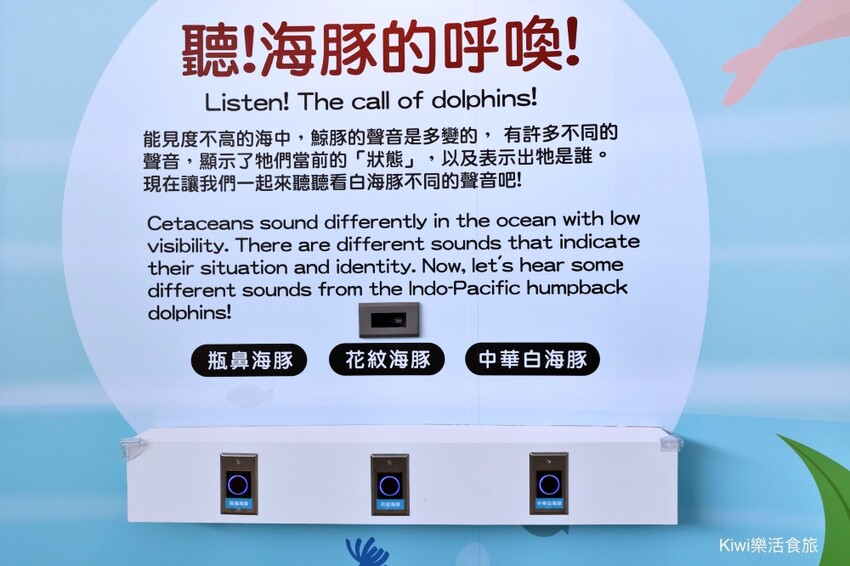 彰化伸港景點｜彰化縣自然生態教育中心，唯美白色海豚屋純白建築～慶安水道網美打卡熱點