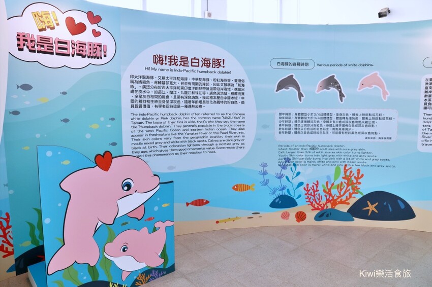 暑假強推2022夏令活動！彰化景點彰化縣自然生態教育中心，擁抱海洋‧與海對話特展～親子闖關.DIY藝術創作，