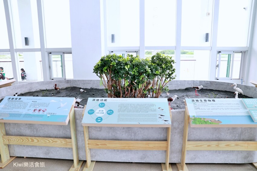 彰化伸港景點｜彰化縣自然生態教育中心，唯美白色海豚屋純白建築～慶安水道網美打卡熱點