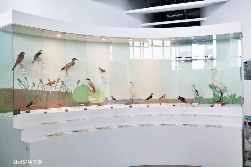 暑假強推2022夏令活動！彰化景點彰化縣自然生態教育中心，擁抱海洋‧與海對話特展～親子闖關.DIY藝術創作，