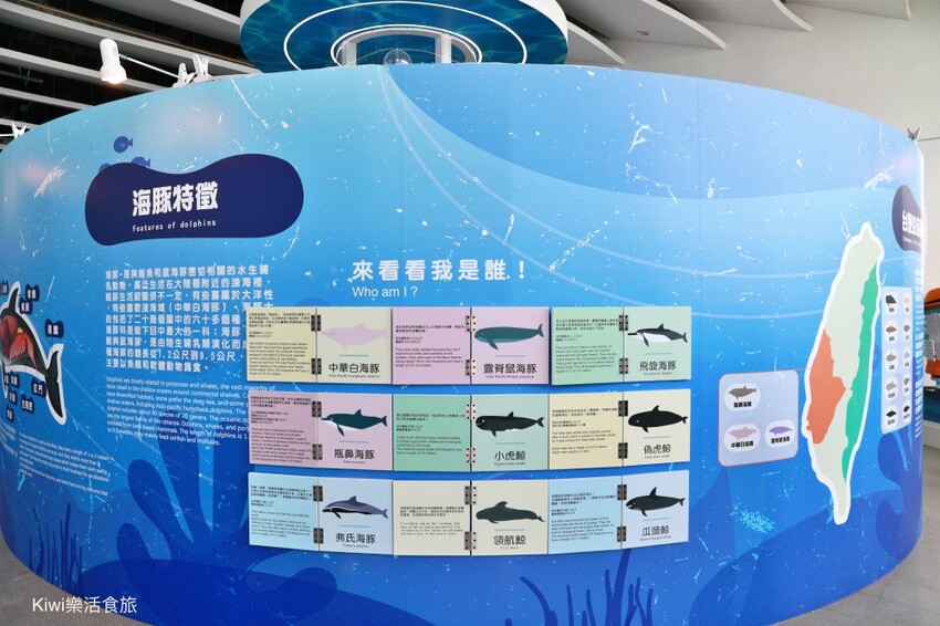 彰化伸港景點｜彰化縣自然生態教育中心，唯美白色海豚屋純白建築～慶安水道網美打卡熱點