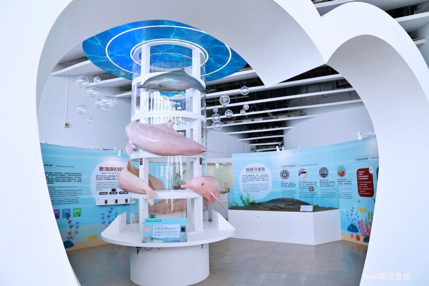 彰化伸港景點｜彰化縣自然生態教育中心，唯美白色海豚屋純白建築～慶安水道網美打卡熱點