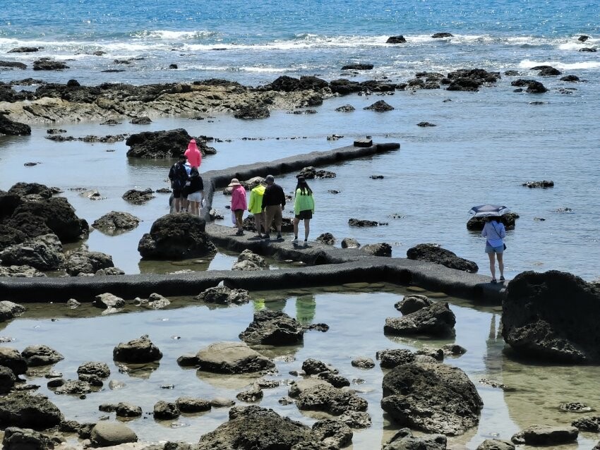【台東卑南】富山護漁區．可拍IG美照+潮間帶生態的超夯親子景點!