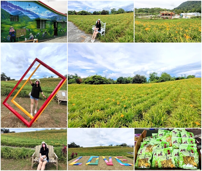 【花蓮景點】來去赤柯山住一晚!加蜜園無菜單金針花料理、住宿推薦!