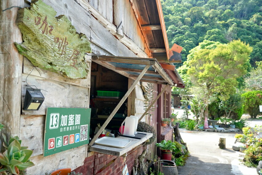 【花蓮景點】來去赤柯山住一晚!加蜜園無菜單金針花料理、住宿推薦!