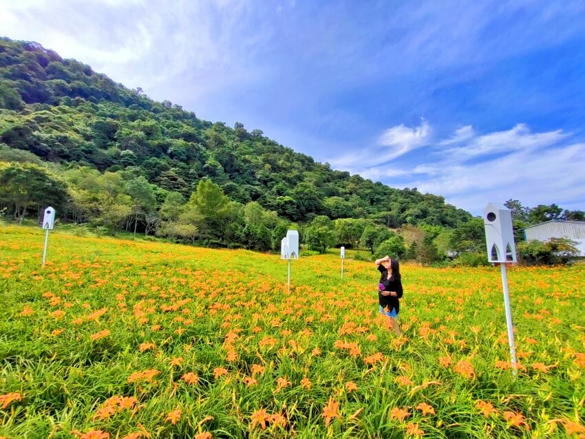 【花蓮景點】來去赤柯山住一晚!加蜜園無菜單金針花料理、住宿推薦!