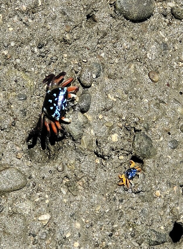 【台東卑南】富山護漁區．可拍IG美照+潮間帶生態的超夯親子景點!