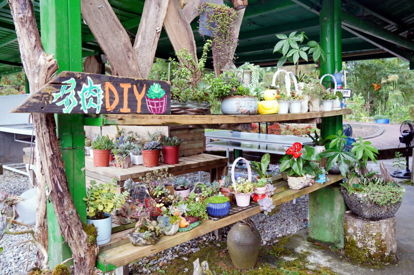 【花蓮景點】來去赤柯山住一晚!加蜜園無菜單金針花料理、住宿推薦!