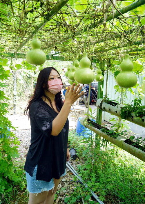 【花蓮景點】來去赤柯山住一晚!加蜜園無菜單金針花料理、住宿推薦!