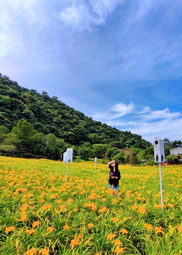 【花蓮景點】來去赤柯山住一晚!加蜜園無菜單金針花料理、住宿推薦!
