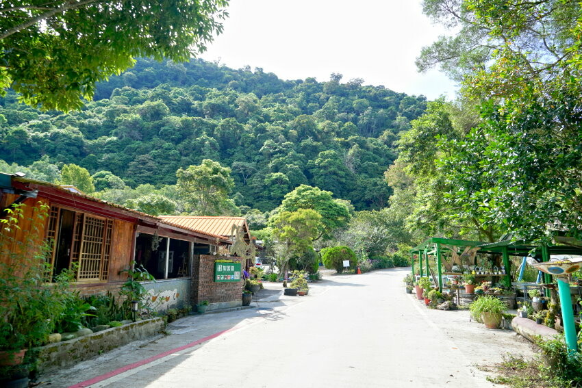 【花蓮景點】來去赤柯山住一晚!加蜜園無菜單金針花料理、住宿推薦!