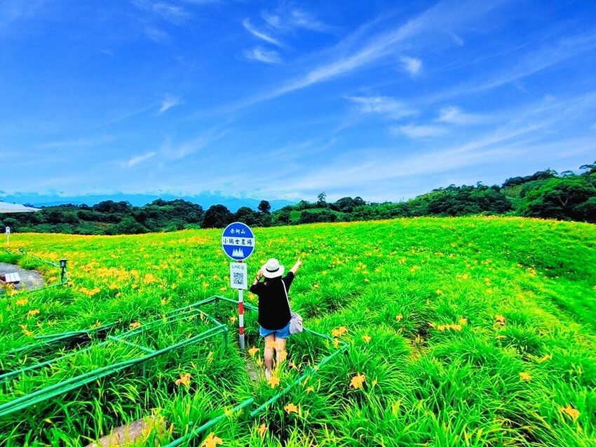 【花蓮景點】來去赤柯山住一晚!加蜜園無菜單金針花料理、住宿推薦!