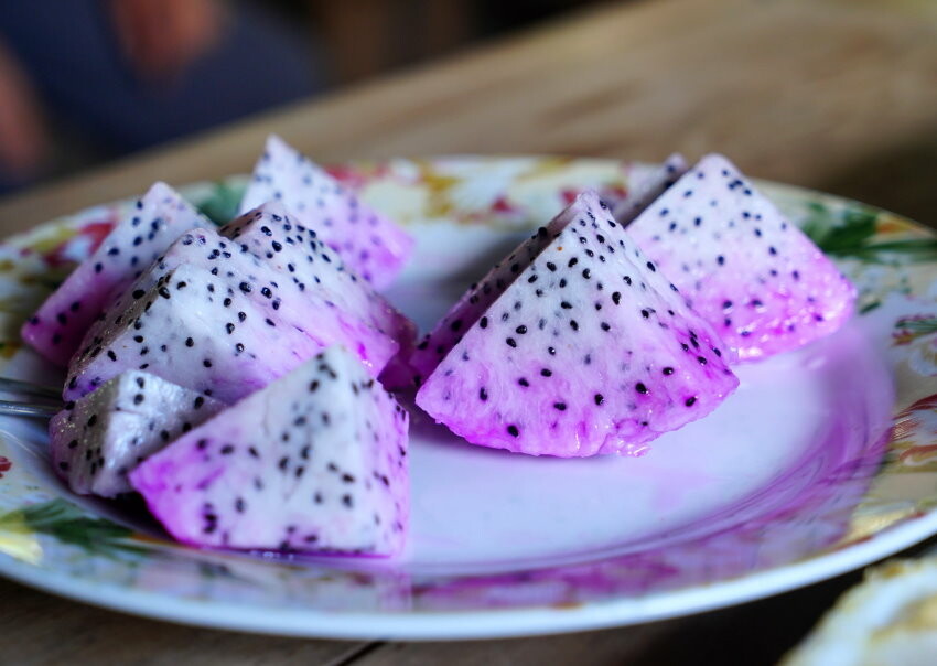 【花蓮景點】來去赤柯山住一晚!加蜜園無菜單金針花料理、住宿推薦!