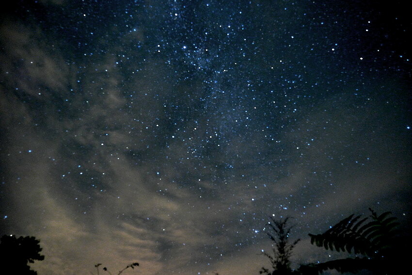 【花蓮景點】來去赤柯山住一晚!加蜜園無菜單金針花料理、住宿推薦!