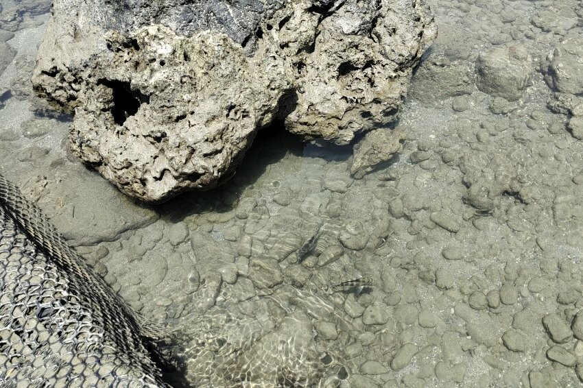 【台東卑南】富山護漁區．可拍IG美照+潮間帶生態的超夯親子景點!
