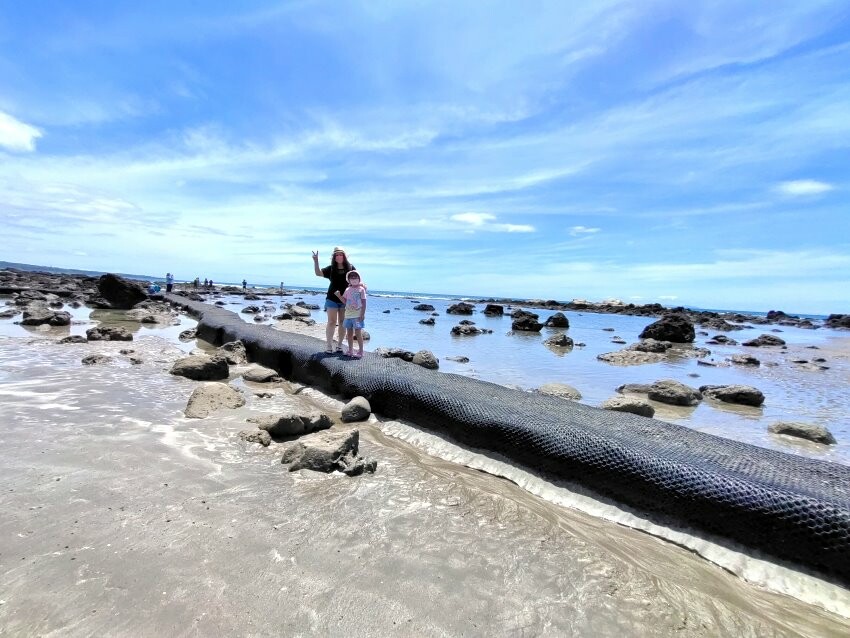 【台東卑南】富山護漁區．可拍IG美照+潮間帶生態的超夯親子景點!