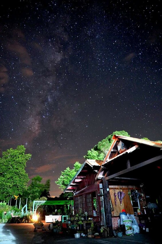 【花蓮景點】來去赤柯山住一晚!加蜜園無菜單金針花料理、住宿推薦!