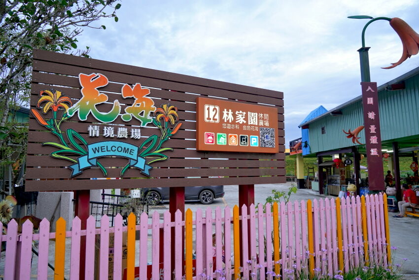 【花蓮景點】來去赤柯山住一晚!加蜜園無菜單金針花料理、住宿推薦!