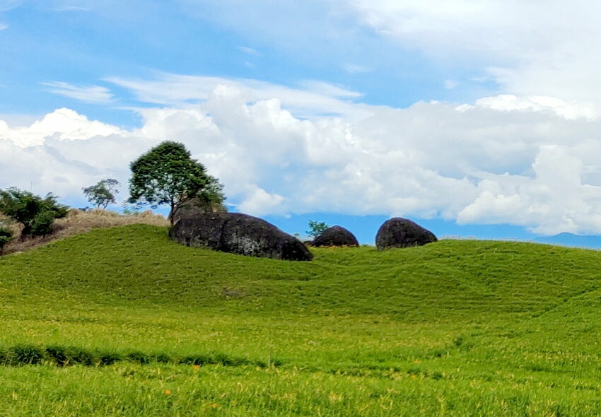 【花蓮景點】來去赤柯山住一晚!加蜜園無菜單金針花料理、住宿推薦!