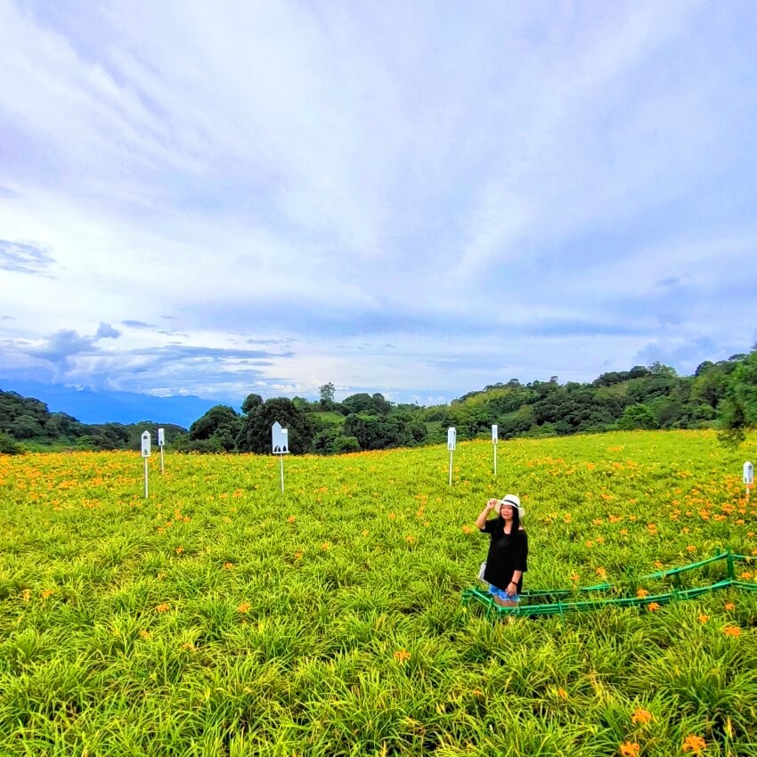【花蓮景點】來去赤柯山住一晚!加蜜園無菜單金針花料理、住宿推薦!