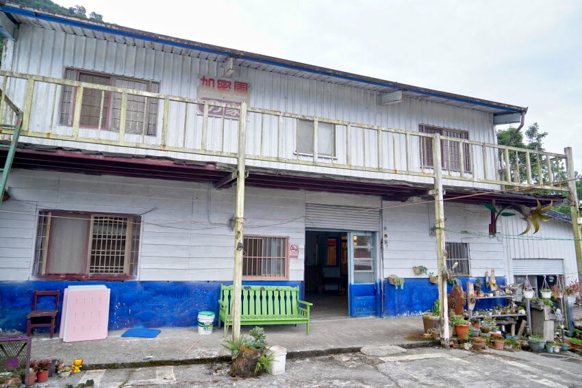 【花蓮景點】來去赤柯山住一晚!加蜜園無菜單金針花料理、住宿推薦!