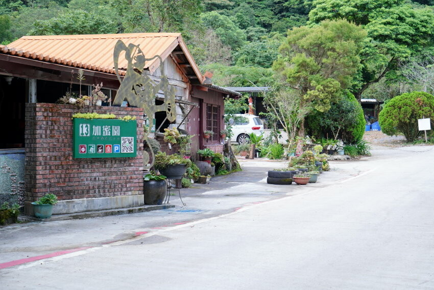 【花蓮景點】來去赤柯山住一晚!加蜜園無菜單金針花料理、住宿推薦!