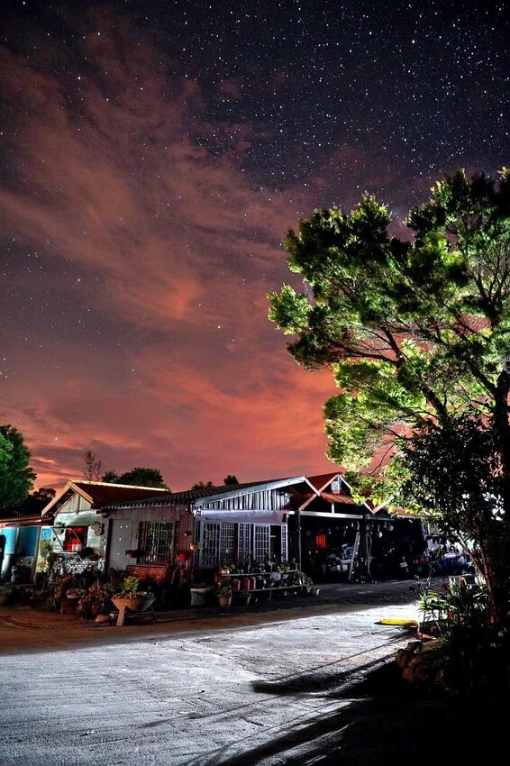 【花蓮景點】來去赤柯山住一晚!加蜜園無菜單金針花料理、住宿推薦!