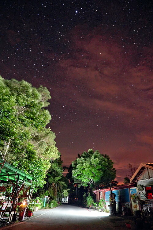 【花蓮景點】來去赤柯山住一晚!加蜜園無菜單金針花料理、住宿推薦!